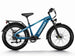 D5(Zebra) / Premium All - terrain Electric Fat Bike - Riding 5 Electric Bike