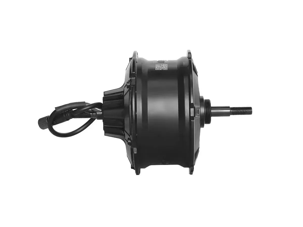 D5(Zebra) Rear Hub Motor - Riding 5 Electric Bike