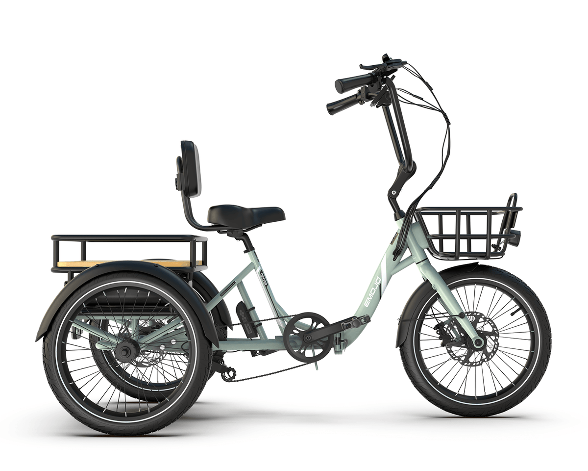 ひよこ Dexter - Riding 5 Electric Bike