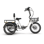 Dexter - Riding 5 Electric Bike