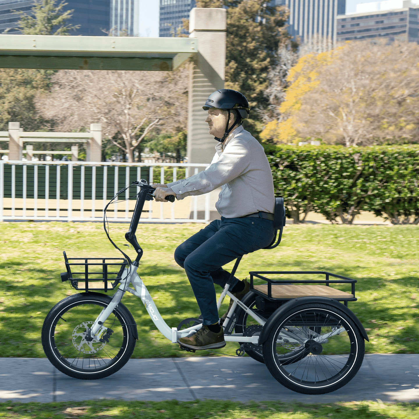 Dexter - Riding 5 Electric Bike