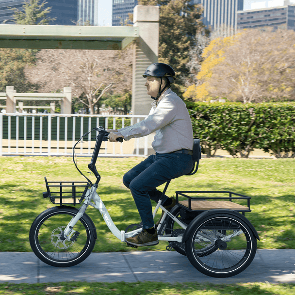 Dexter - Riding 5 Electric Bike