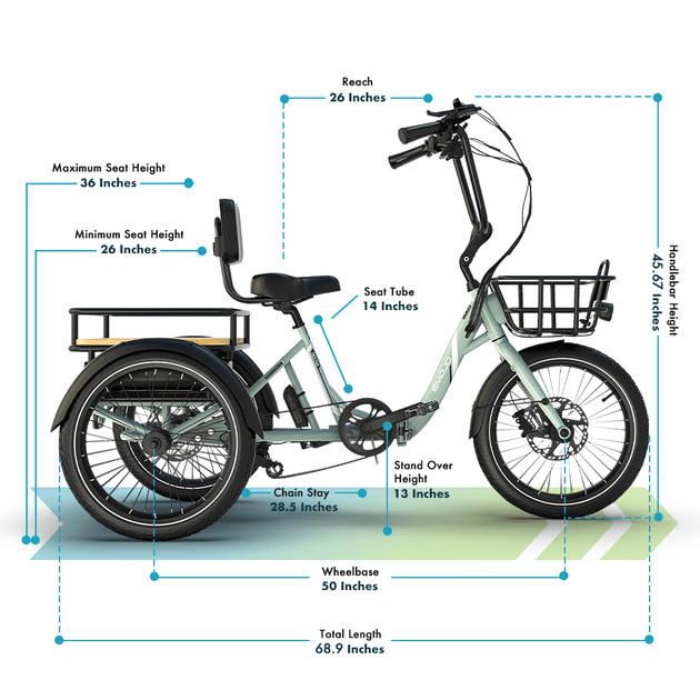 Dexter - Riding 5 Electric Bike