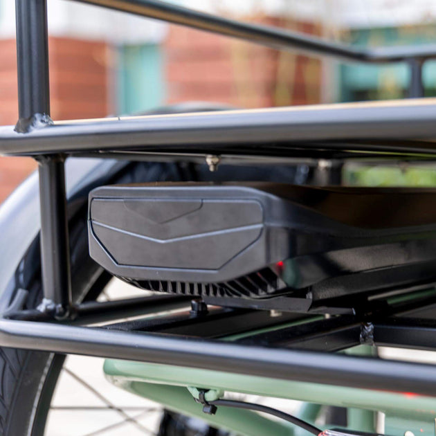 Dexter - Riding 5 Electric Bike