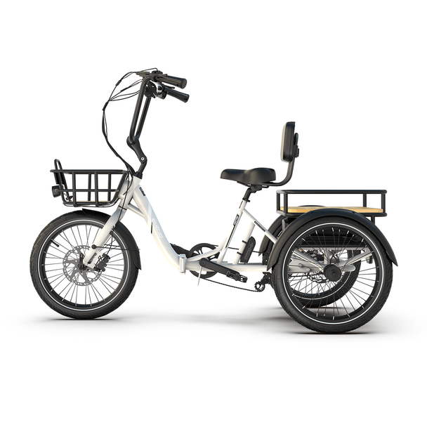 Dexter - Riding 5 Electric Bike