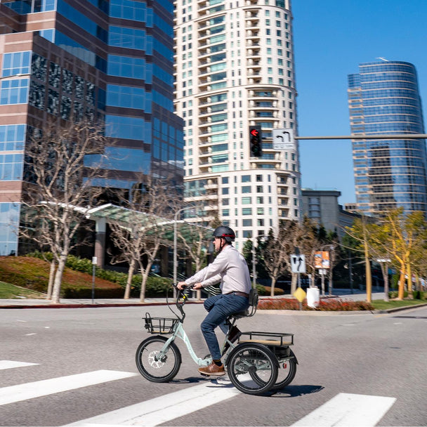 Dexter - Riding 5 Electric Bike