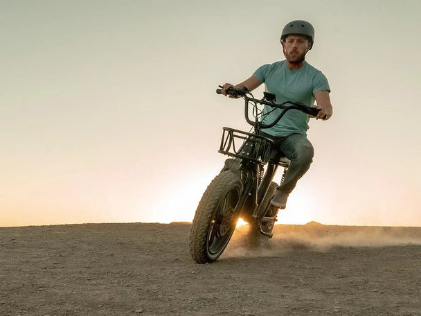 Himiway Escape Pro | Long Range Moped-Style Electric Bike -Himiway eBike