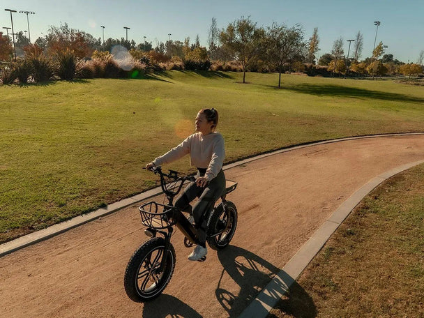 Himiway Escape Pro | Long Range Moped-Style Electric Bike -Himiway eBike