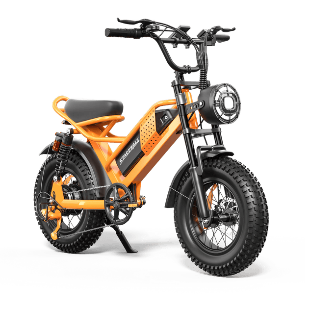Eilleo SpaceWalk M6 Electric Bike ‎for Teens - Riding 5 Electric Bike