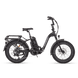 Side view of a black RadExpand 5 electric folding bike