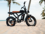 Freego Shotgun Prime F2 Pro Electric Cargo Bike - Riding 5 Electric Bike