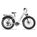 Kingbull Discover ST 2.0 | Premium Off - road & City Electric Bike - Riding 5 Electric Bike