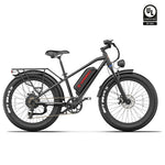 Kingbull Hunter 2.0S | Mountain Fat Tire Electric Bike - Riding 5 Electric Bike