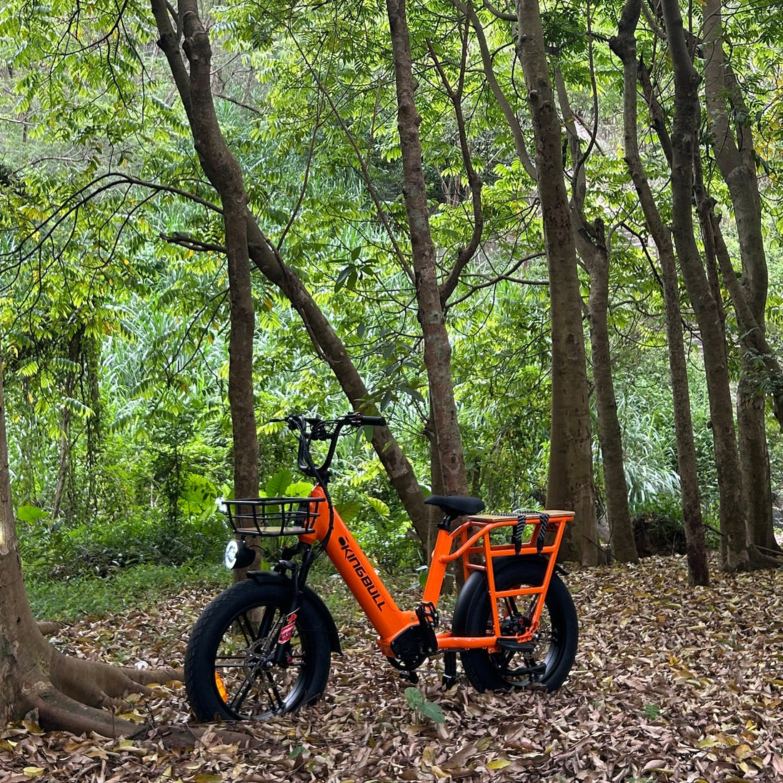 Kingbull Voyager 2.0 | Fat Tire Electric Cargo Bike - Riding 5 Electric Bike