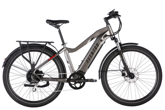 Level 2 Ebike - Riding 5 Electric Bike
