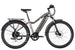 Level 2 Ebike - Riding 5 Electric Bike