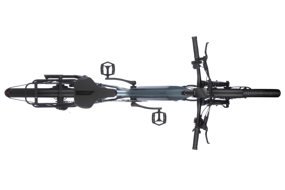 Level 2 Ebike - Riding 5 Electric Bike