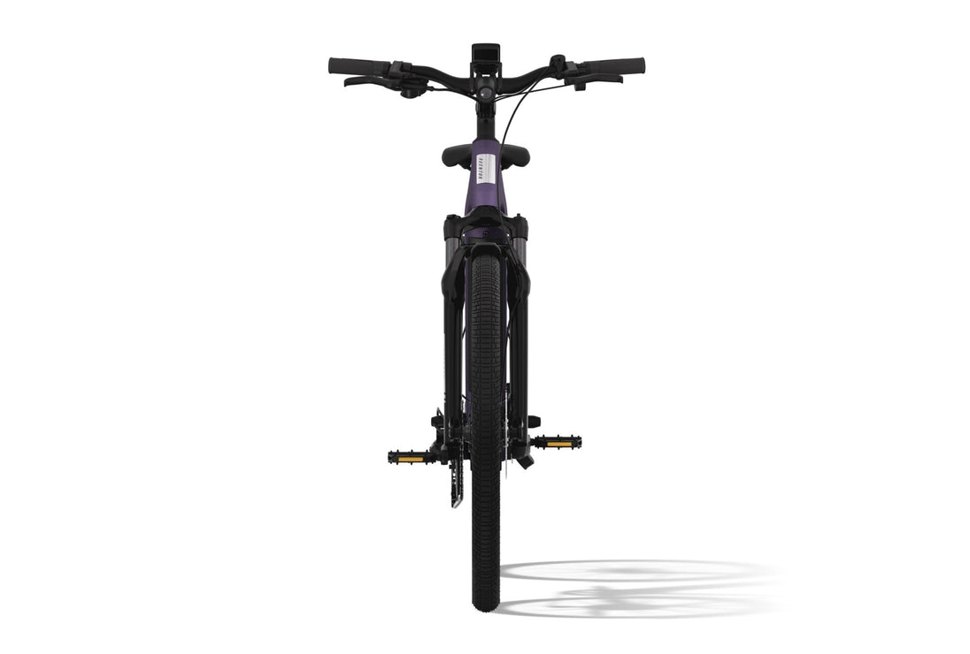 Level 3 Ebike - Riding 5 Electric Bike