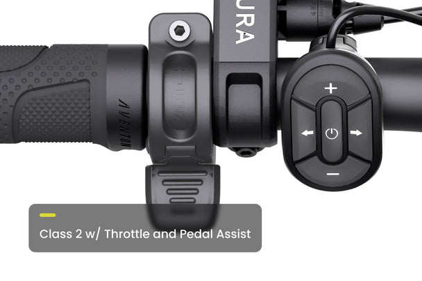 Level 3 Ebike - Riding 5 Electric Bike