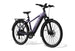 Level 3 Ebike - Riding 5 Electric Bike