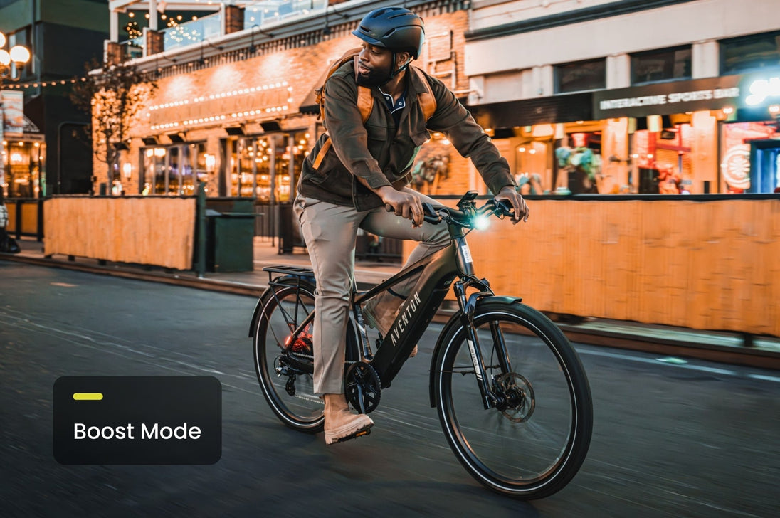 Level 3 Ebike - Riding 5 Electric Bike