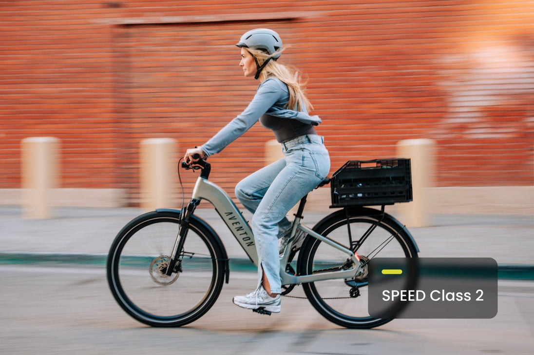 Level 3 Ebike - Riding 5 Electric Bike