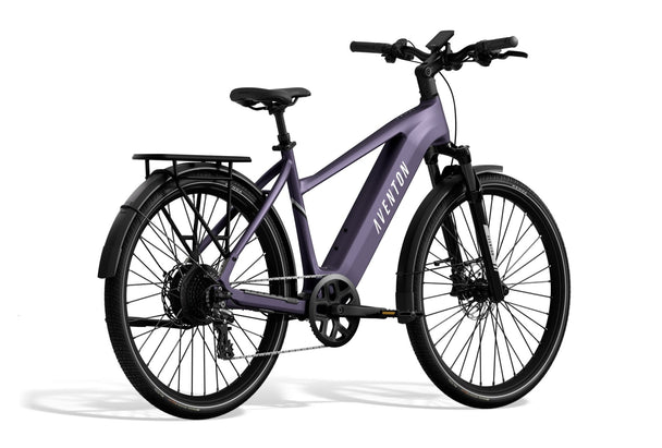 Level 3 Ebike - Riding 5 Electric Bike