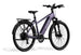 Level 3 Ebike - Riding 5 Electric Bike