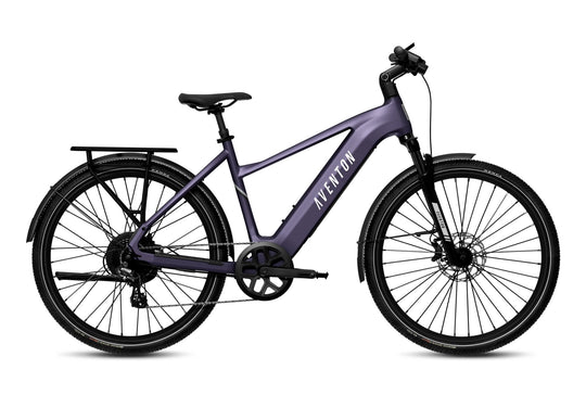 Level 3 Ebike - Riding 5 Electric Bike