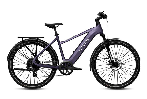 Level 3 Ebike - Riding 5 Electric Bike