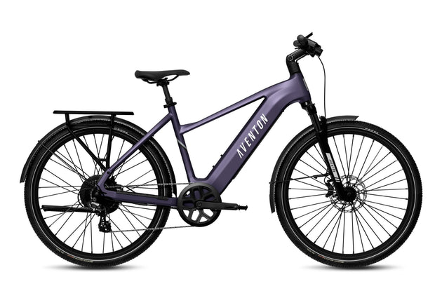 Level 3 Ebike - Riding 5 Electric Bike
