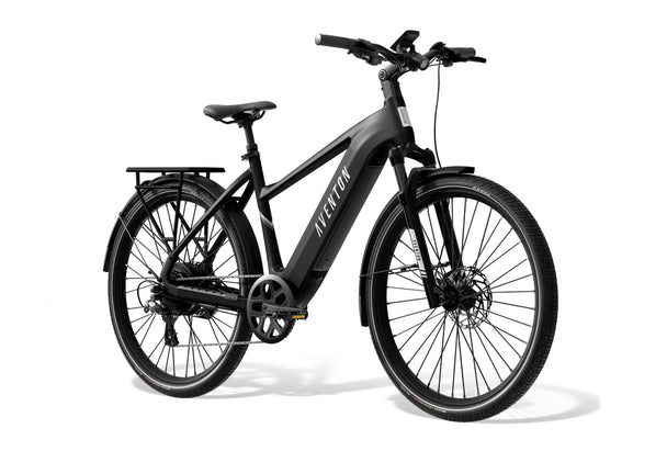 Level 3 Ebike - Riding 5 Electric Bike