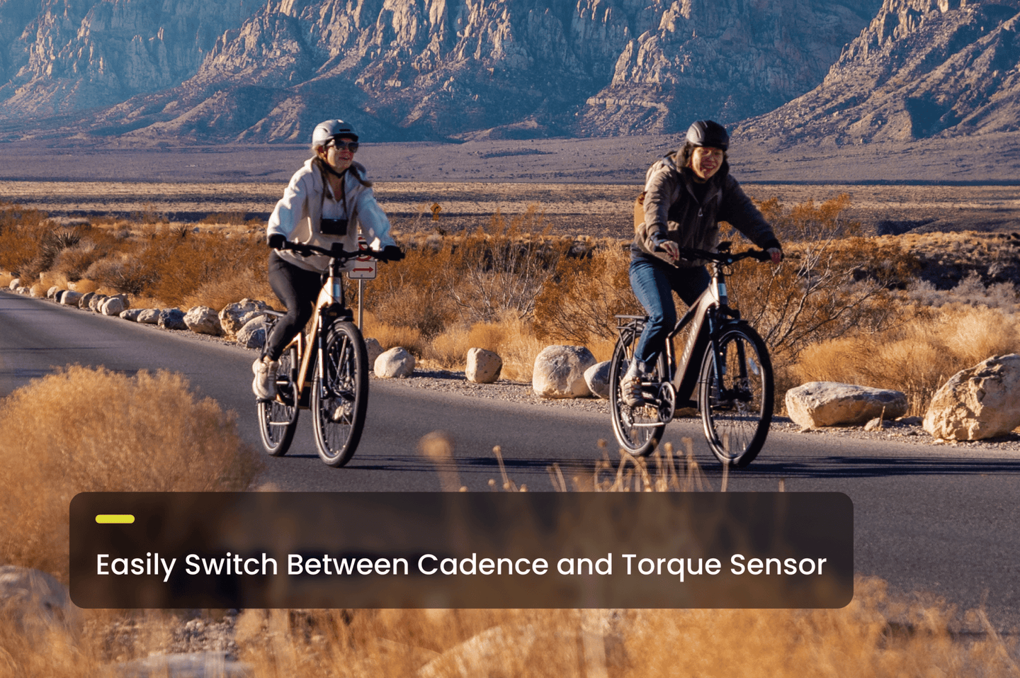 Level 3 Ebike - Riding 5 Electric Bike