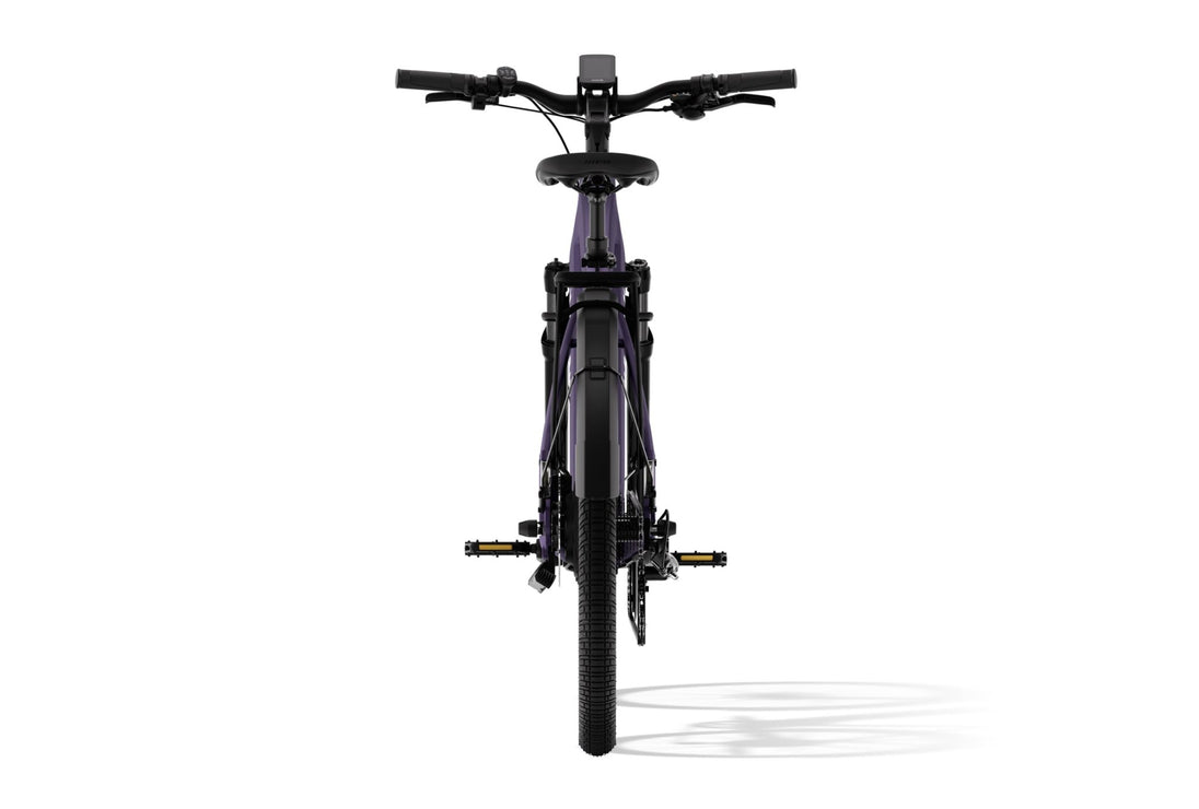 Level 3 Ebike - Riding 5 Electric Bike
