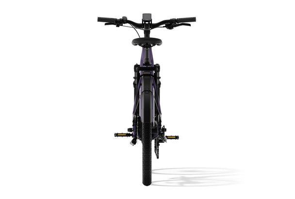 Level 3 Ebike - Riding 5 Electric Bike