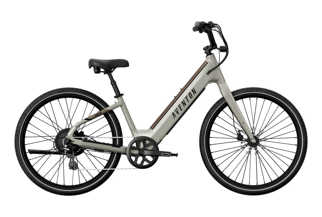 Pace 4 Step - Through Ebike - Riding 5 Electric Bike