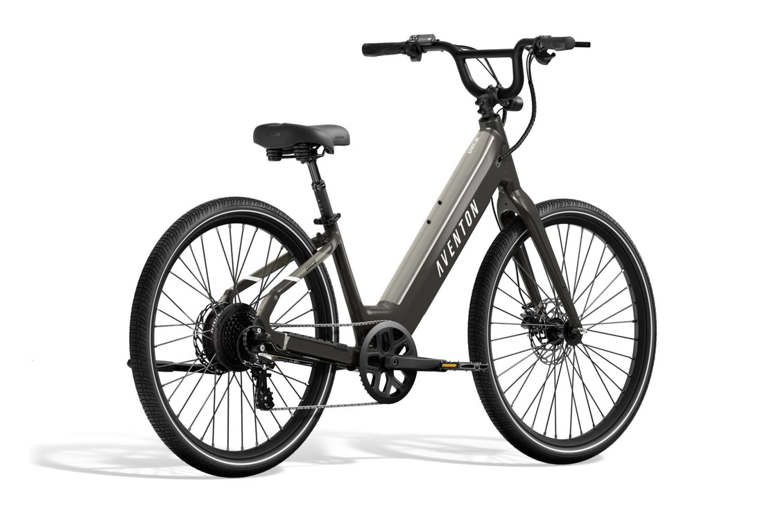 Pace 4 Step - Through Ebike - Riding 5 Electric Bike