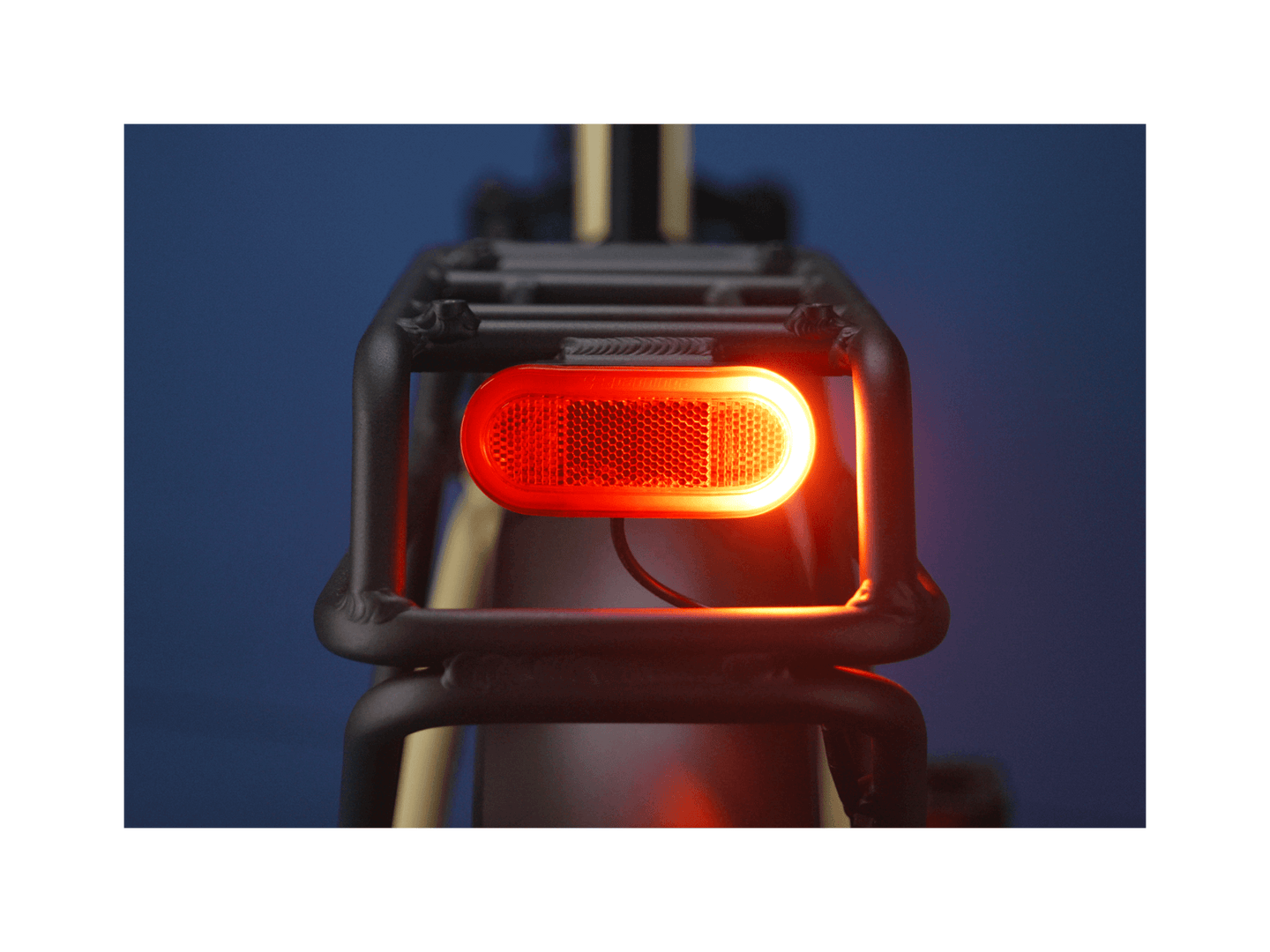 RadExpand™ 5 Plus Electric Folding Bike - Riding 5 Electric Bike