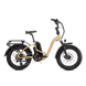 RadExpand™ 5 Plus Electric Folding Bike - Riding 5 Electric Bike