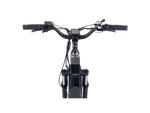 RadRover™ 6 Plus Electric Fat Tire Bike - Riding 5 Electric Bike