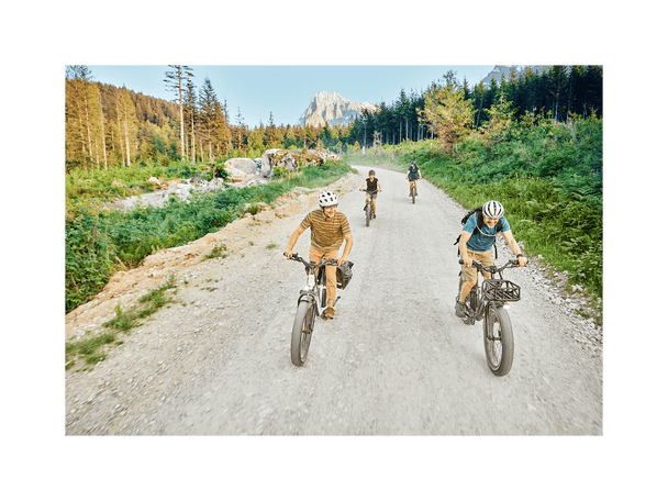 RadRover™ 6 Plus Electric Fat Tire Bike - Riding 5 Electric Bike