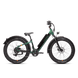 RadRover™ 6 Plus Electric Fat Tire Bike - Riding 5 Electric Bike