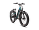 RadRover™ 6 Plus Electric Fat Tire Bike - Riding 5 Electric Bike