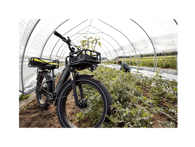 RadRover™ 6 Plus Electric Fat Tire Bike - Riding 5 Electric Bike