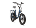 RadRunner™ Electric Cargo Utility Bike - Riding 5 Electric Bike