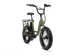 RadRunner™ Electric Cargo Utility Bike - Riding 5 Electric Bike