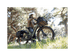Radster™ Trail Electric Off - Road Bike - Riding 5 Electric Bike