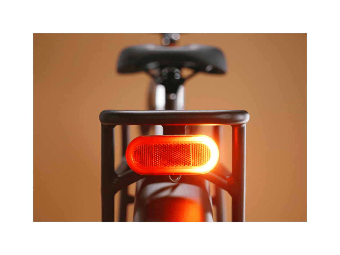 Radster™ Trail Electric Off - Road Bike - Riding 5 Electric Bike