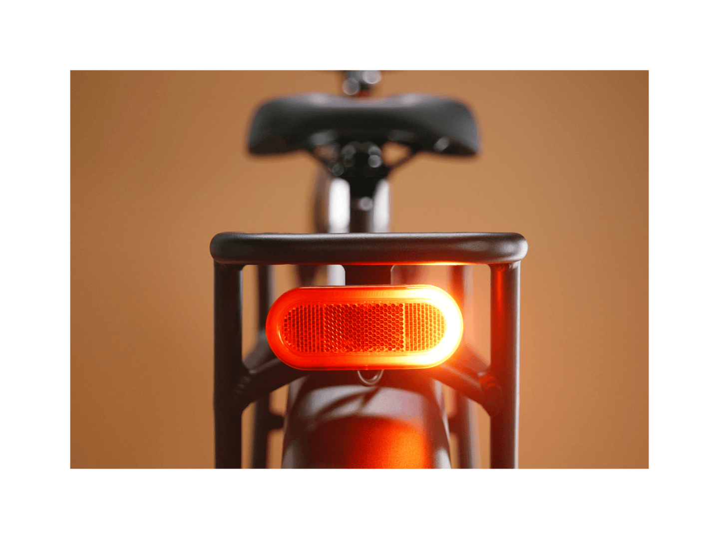 Radster™ Trail Electric Off - Road Bike - Riding 5 Electric Bike