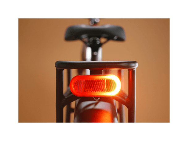 Radster™ Trail Electric Off - Road Bike - Riding 5 Electric Bike